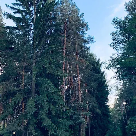 דירה Forest Fairy Tale *